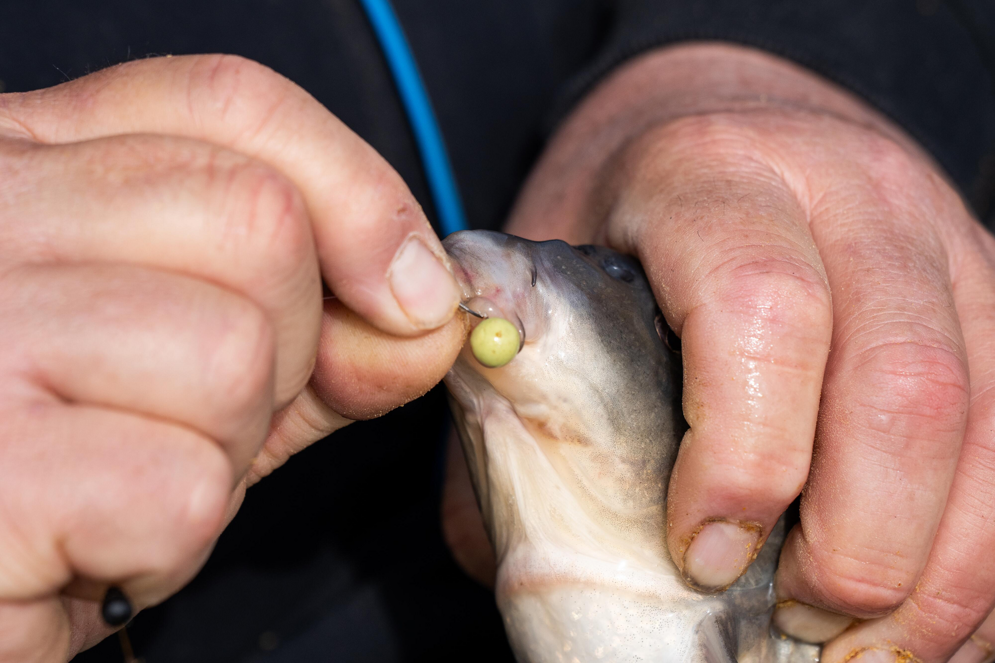 degrade spikes fish hooks nail skewer lips mouth Stack Tackle Quigley Metal Lip aggressive fish Fish Lip Grabber Fish Lip